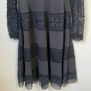 French Connection Orabelle Lace Dress French Connection Orabelle Lace Dress  Size